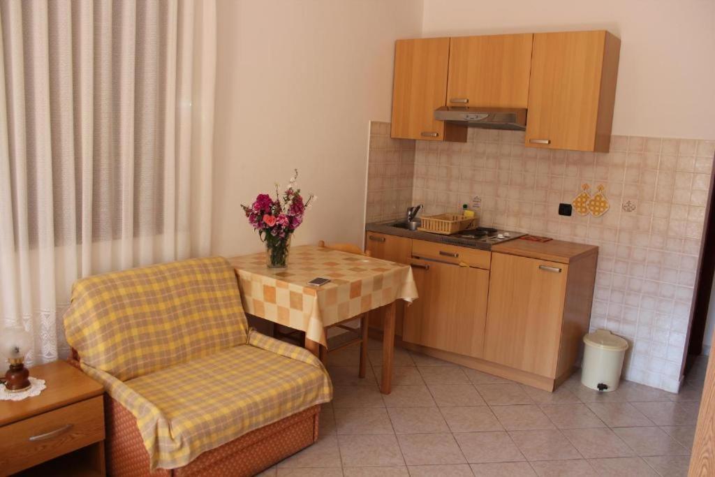 Apartments Manuel Novigrad  Exterior photo