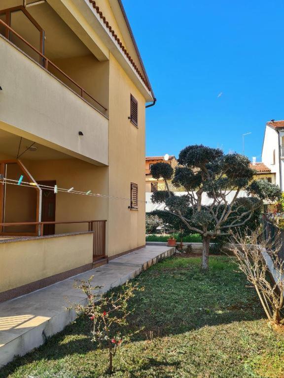 Apartments Manuel Novigrad  Exterior photo